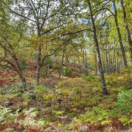 Apartamentos Rurales Entre Fuentes Cuacos De Yuste Bagian luar foto