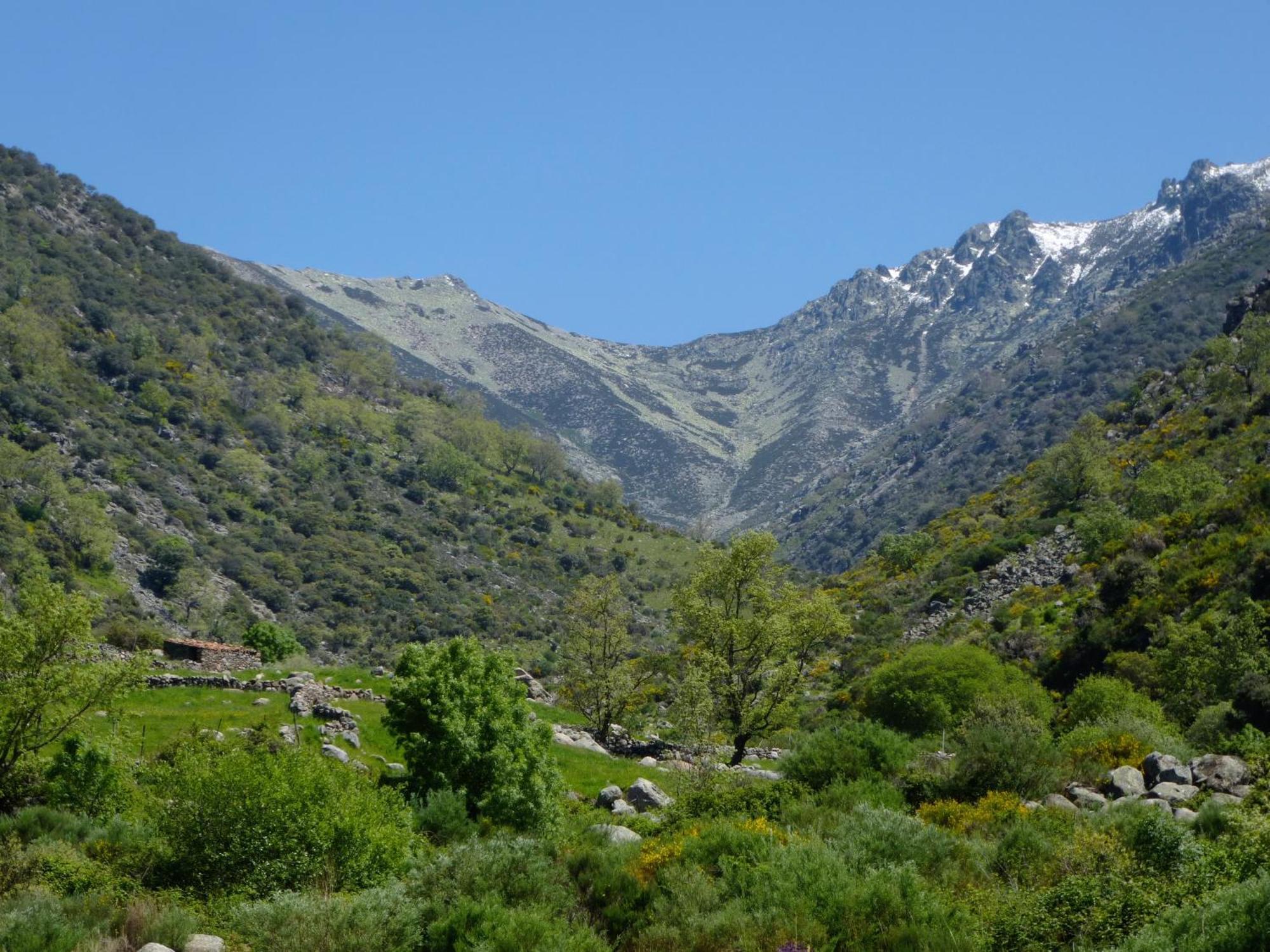 Apartamentos Rurales Entre Fuentes Cuacos De Yuste Bagian luar foto