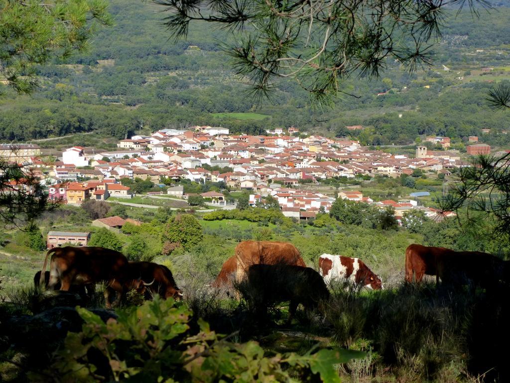 Apartamentos Rurales Entre Fuentes Cuacos De Yuste Bagian luar foto